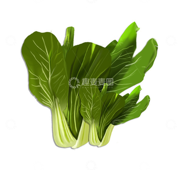 源文件下载【趣麦麦图】蔬菜上海青元素