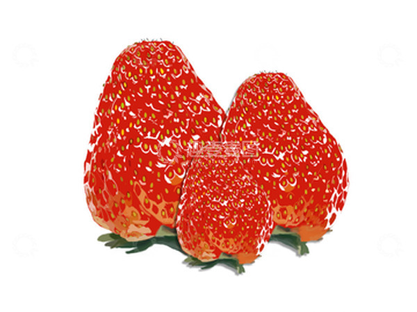 源文件下载【趣麦麦图】新鲜水果 草莓