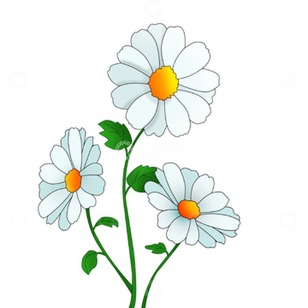 源文件下载【趣麦麦图】清明节植物白色小雏菊