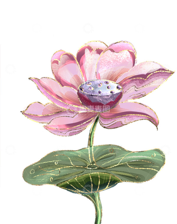 源文件下载【趣麦麦图】夏天秋 莲花手绘荷叶荷花水墨画