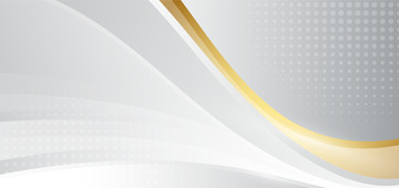 简约大气高端奢华商务背景曲线背景海报封面