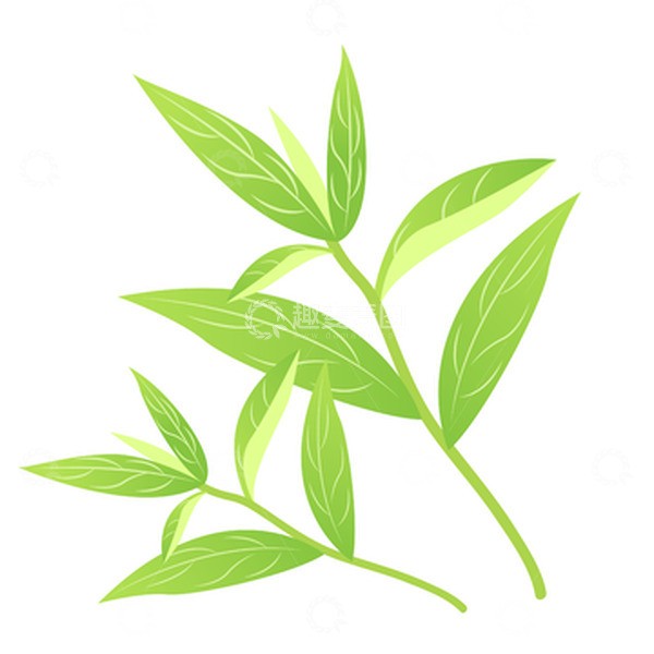 源文件下载【趣麦麦图】绿色茶叶卡通手绘图