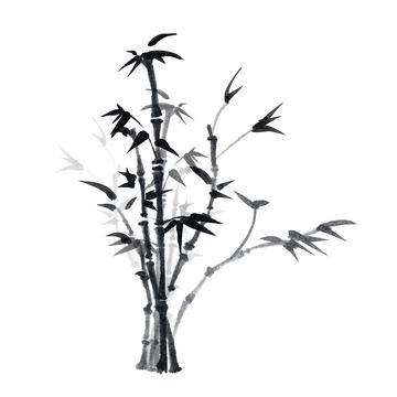 水墨画墨竹花草竹子植物竹枝水墨