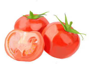 手绘西红柿番茄