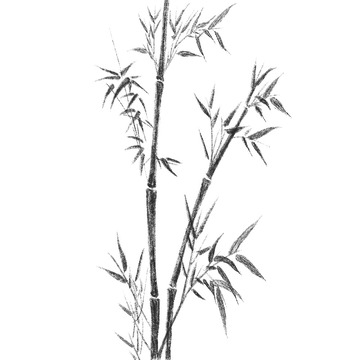 水墨画黑色竹子墨竹手绘