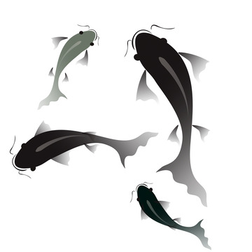 水墨 生物 鱼 动物元素