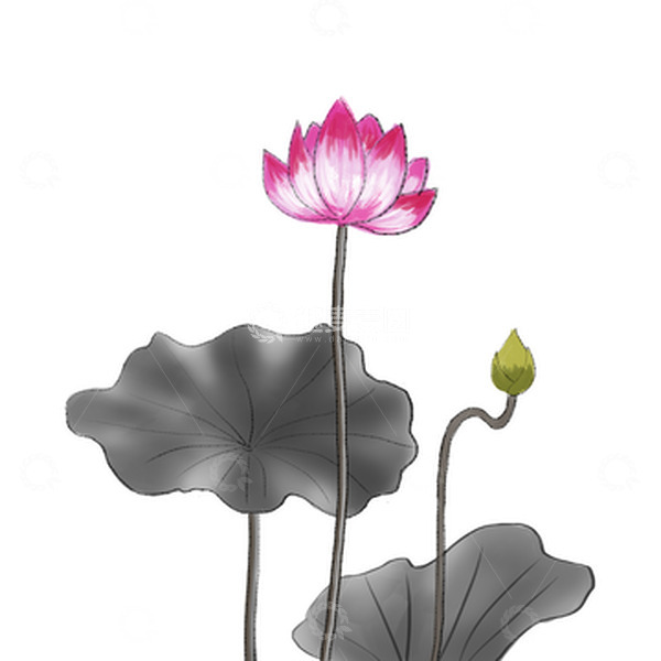 源文件下载【趣麦麦图】中国风水墨画荷花荷叶