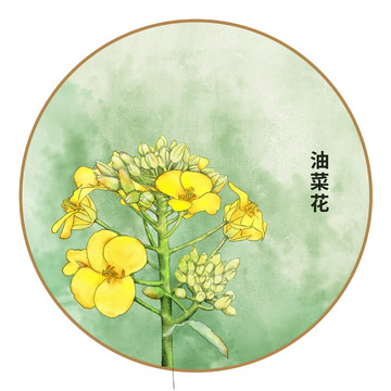 手绘水彩油菜花元素