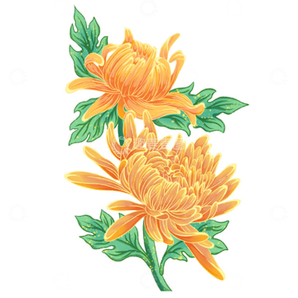 源文件下载【趣麦麦图】手绘黄色国潮菊花元素