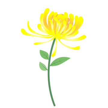 金黄色菊花手绘矢量元素