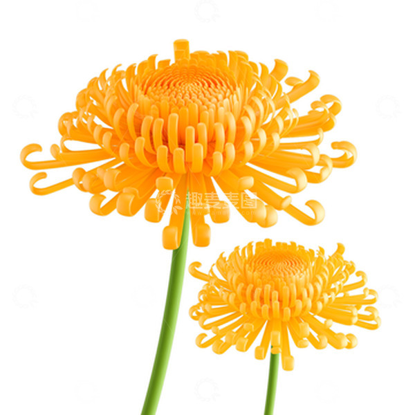 源文件下载【趣麦麦图】清明黄色中国风菊花