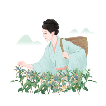 青绿国风采茶姑娘手绘图