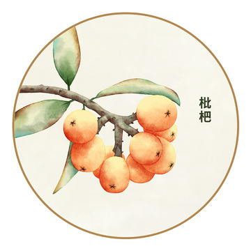 枇杷手绘水彩元素