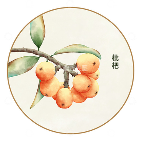 源文件下载【趣麦麦图】枇杷手绘水彩元素