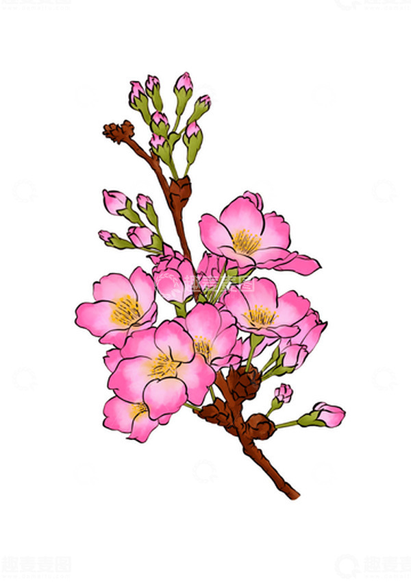 源文件下载【趣麦麦图】春天花朵手绘桃花红花