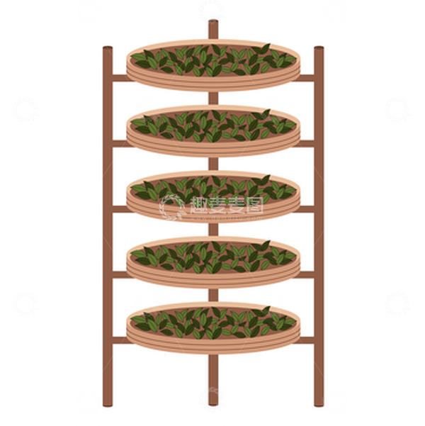 源文件下载【趣麦麦图】春茶晒茶茶叶晒茶工具采茶茶园茶树