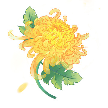 谷雨中国风复古清明节菊花植物花卉