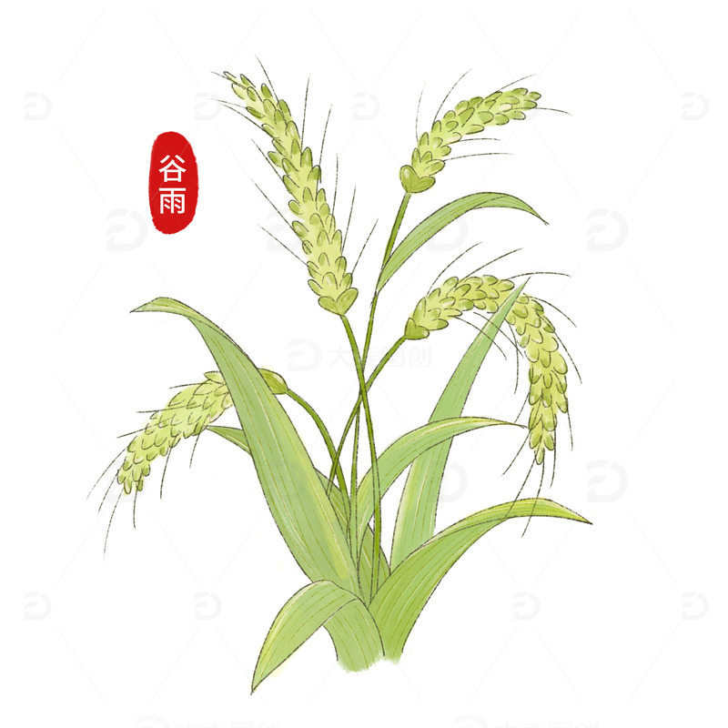 清明谷雨春季农忙青小麦播种