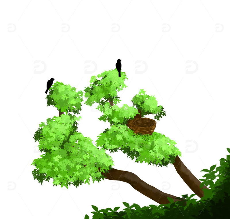 鸟窝鸟樟树绿树荫手绘树