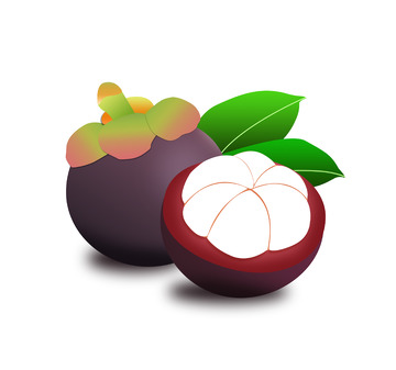 山竹山竺山竹子水果元素