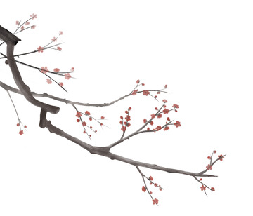 梅花水墨画花卉