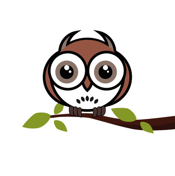 树枝上的猫头鹰