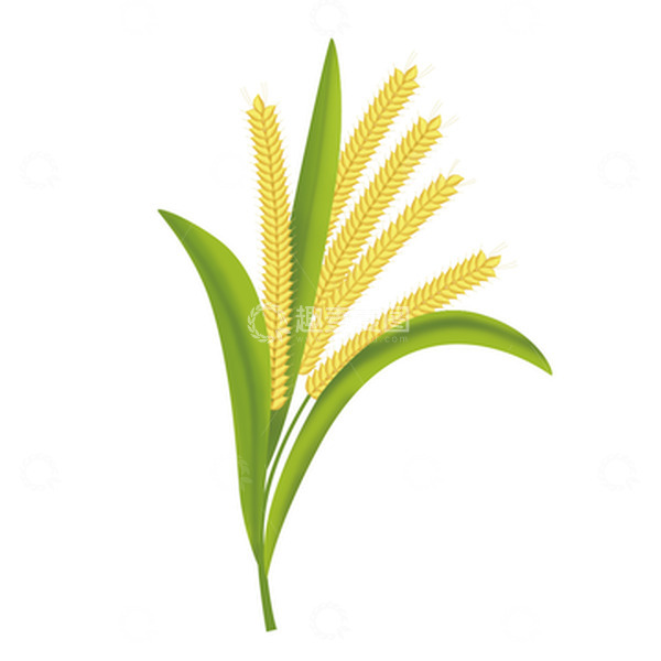 源文件下载【趣麦麦图】手绘谷雨麦穗麦子