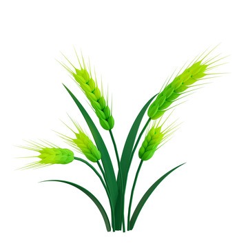 3d粘土谷雨春天绿色稻谷麦子元素