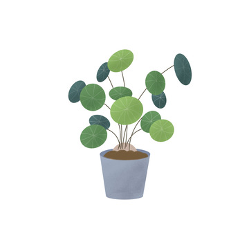 绿植植物室内装饰盆栽手绘叶子
