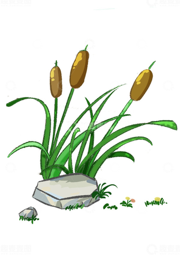源文件下载【趣麦麦图】-绿色植物石头香蒲手绘图