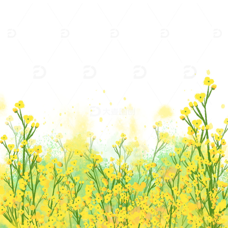 源文件下载【趣麦麦图】绿色小清新春天油菜花田野手绘装饰插画