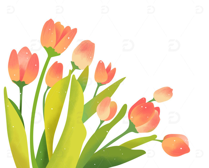 手绘春天可爱花朵清新植物