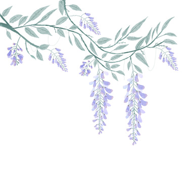 古风水墨水彩花朵中式紫藤萝写意紫色花卉