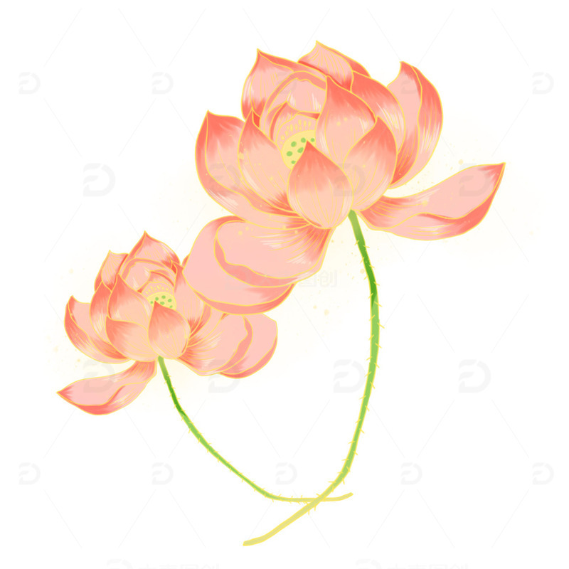 源文件下载【趣麦麦图】荷花莲花花朵植物国潮装饰