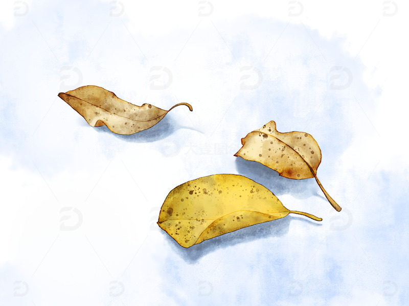 手绘水彩秋天叶子落叶