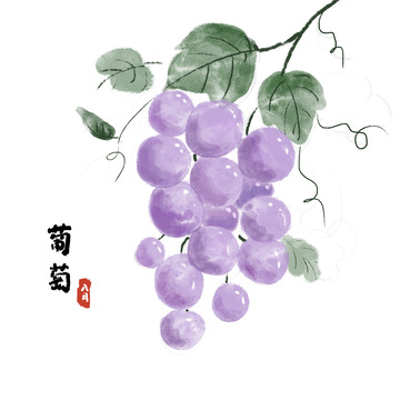 中国风水墨葡萄