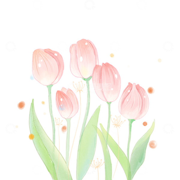 源文件下载【趣麦麦图】郁金香水彩花卉植物粉色母亲节梦幻手绘