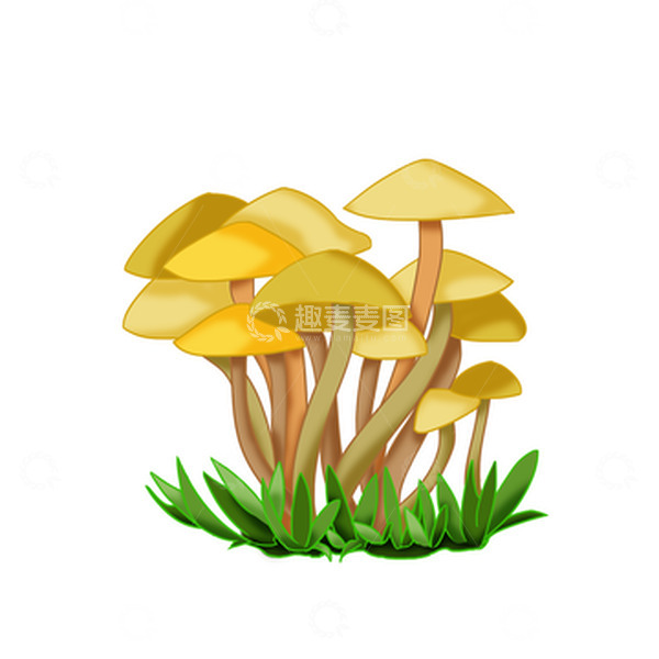 源文件下载【趣麦麦图】雨后蘑菇生长美食