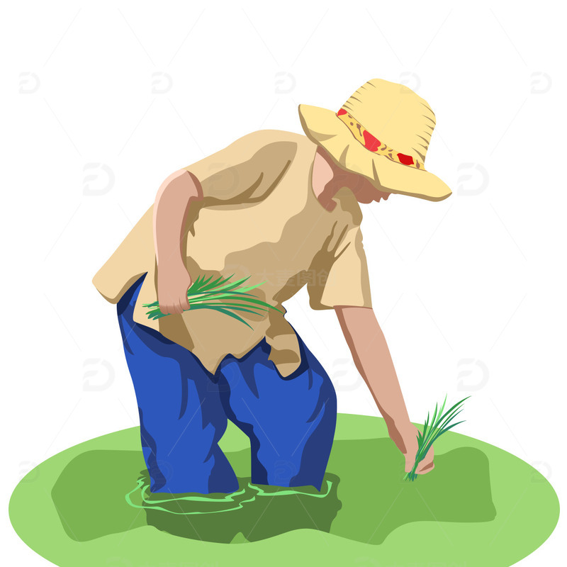 源文件下载【趣麦麦图】插秧耕种春播农忙田地水田播种草帽劳动