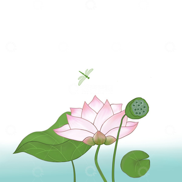 源文件下载【趣麦麦图】手绘荷花   荷叶 莲蓬  蜻蜓 元素图