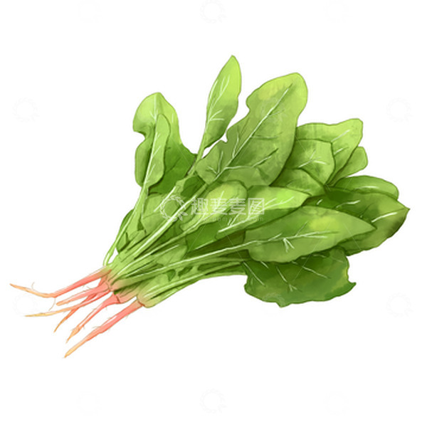 源文件下载【趣麦麦图】-卡通手绘蔬菜菠菜