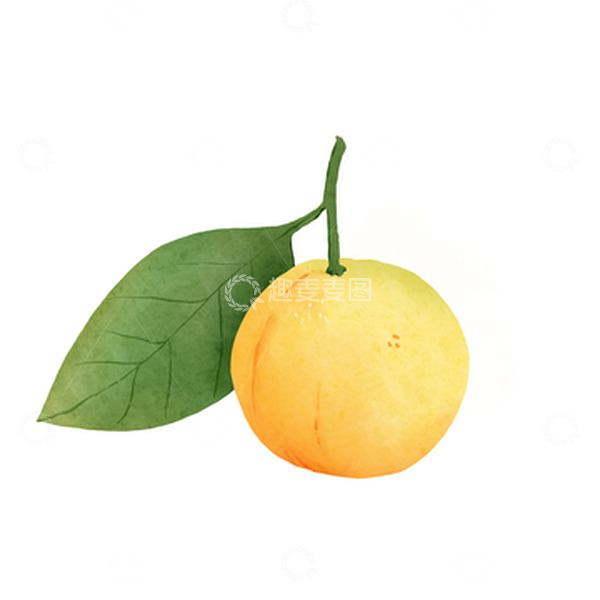 源文件下载【趣麦麦图】卡通手绘新鲜小柠檬