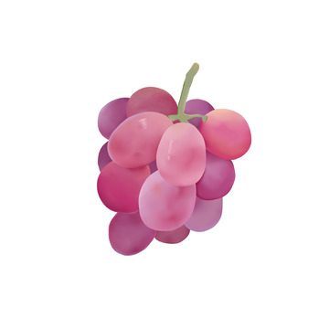 一串紫葡萄红葡萄夏日水果手绘图