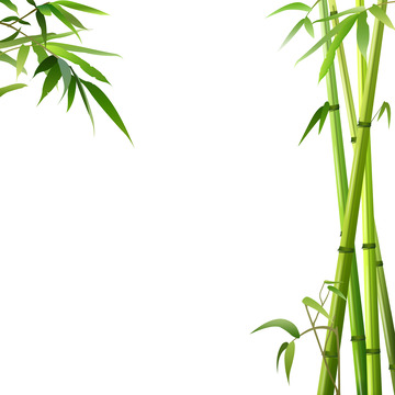 中国风竹子装饰元素