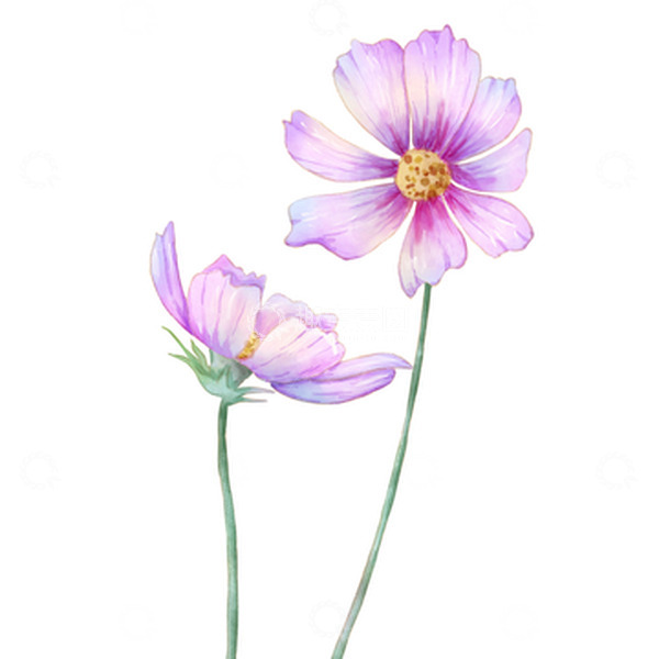 源文件下载【趣麦麦图】卡通手绘水彩小花朵