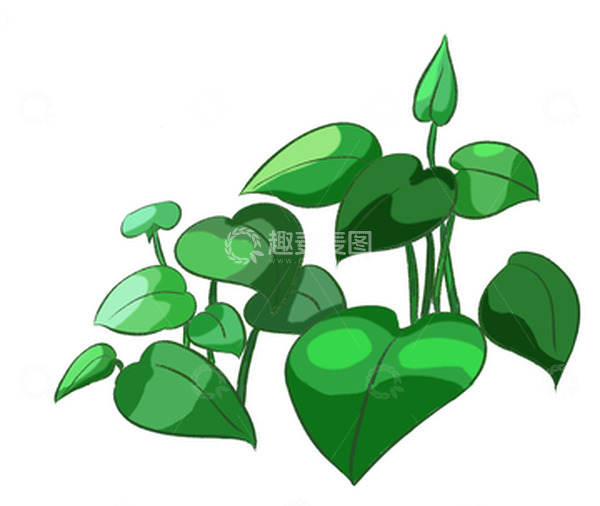 源文件下载【趣麦麦图】清新绿色树叶绿萝叶子手绘植物