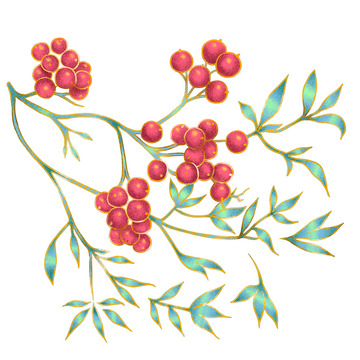 果子，果树，树叶