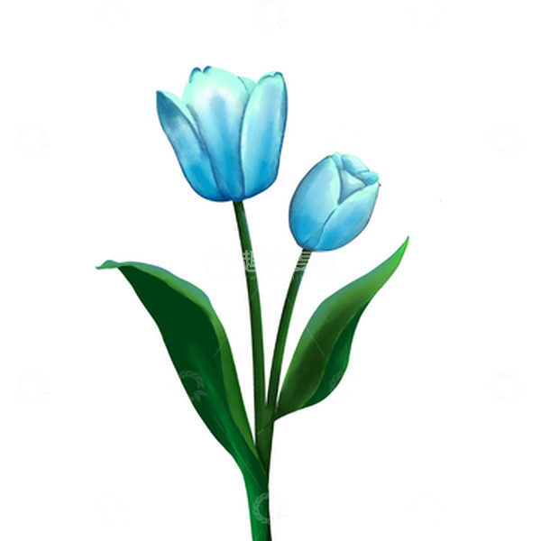 源文件下载【趣麦麦图】手绘蓝色郁金香花卉