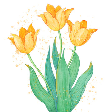 小清新黄色手绘水彩郁金香花卉淡彩花朵插画