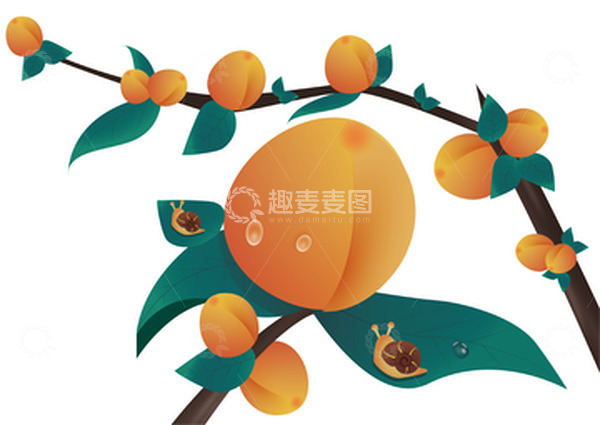 源文件下载【趣麦麦图】-果子桃子杏子树枝树叶手绘